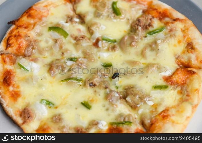 flies on pizza the dirty food contamination hygiene concept, fly on food