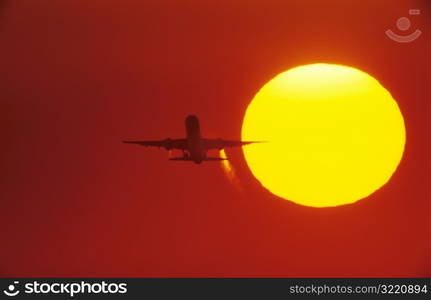 Flight at Sunset