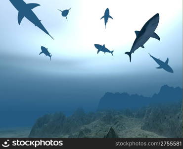 Flight of sharks in different poses near a sea-bottom on a background of light from the sun passing through water (one shark strongly pronounced)
