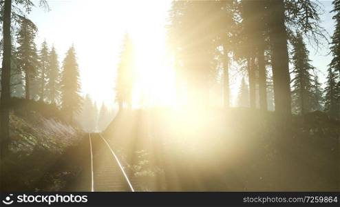 Flight Over A Railway Surrounded By Forest with Sunbeams