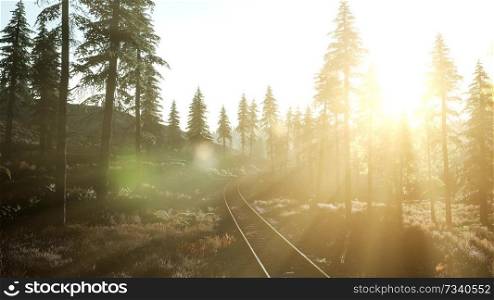 Flight Over A Railway Surrounded By Forest with Sunbeams