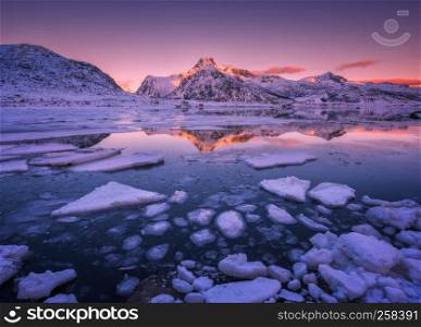 Floating ice in the sea against snowy mountains and pink sky at beautiful sunset. Lofoten islands, Norway. Winter landscape with frosty coast, rocks, reflection in water in cold evening. Seascape