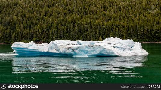 Floating Iceberg in Tracy Arm, Alaska