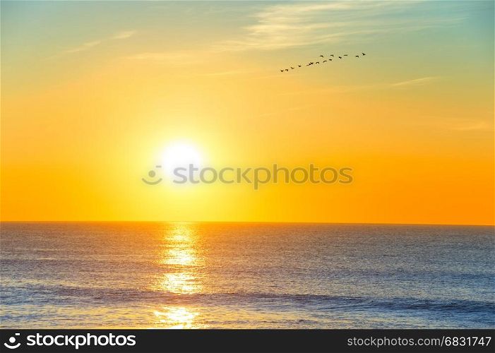 Flock of birds flying over the ocean in the sky at sunset