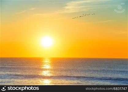 Flock of birds flying over the ocean in the sky at sunset
