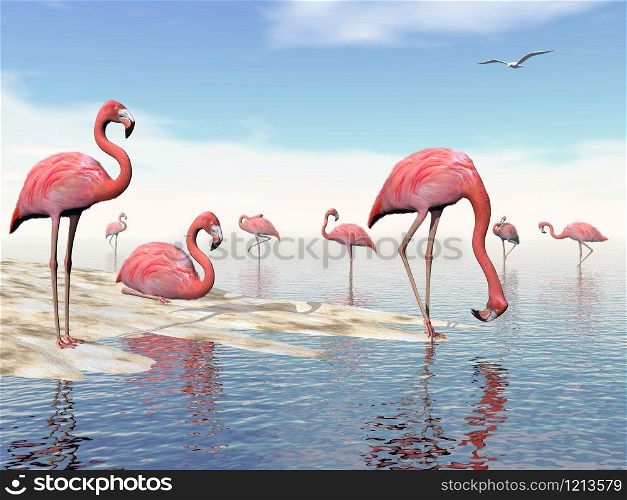 Flock of pink flamingos at the beach by daylight. Flock of pink flamingos - 3D render