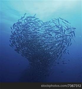 flock of sea fish in the shape of a heart / love concept, planet ocean, fish in the sea
