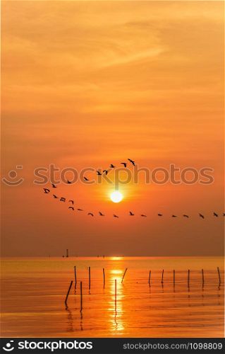 Flock of seagulls bird flying in a line through the bright yellow sun on orange light sky and sunlight reflect the water of the sea beautiful nature landscape at sunrise, sunset background, Thailand. Seagulls flying in a line through the sun at sunset