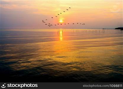 Flock of seagulls bird flying in a line through the bright yellow sun on golden light sky and sunlight reflect the water of the sea beautiful nature landscape at sunrise, sunset background, Thailand. Seagulls flying in a line through the sun at sunset