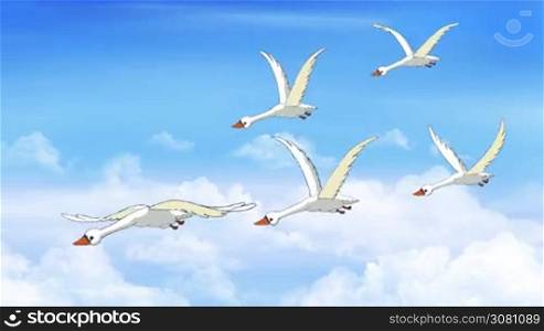 Flock of Swans Flies in the Sky. Handmade animation, motion graphic.
