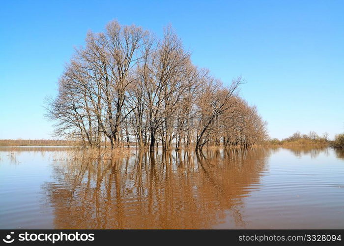 flood in oak wood