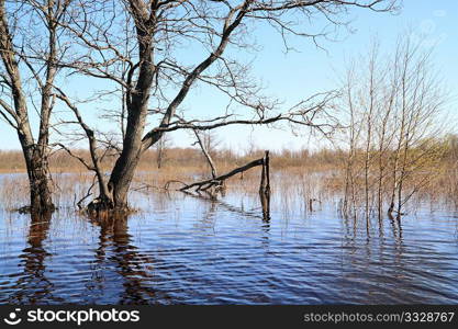 flood in old wood