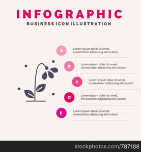 Flora, Floral, Flower, Nature, Spring Solid Icon Infographics 5 Steps Presentation Background