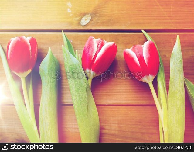 flora, gardening and plant concept - close up of red tulip flowers on wooden table. close up of red tulip flowers on wooden table