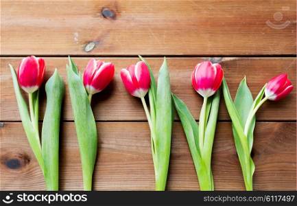 flora, gardening and plant concept - close up of red tulip flowers on wooden table