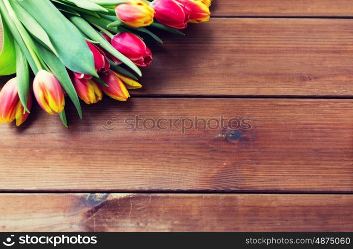 flora, gardening and plant concept - close up of tulip flowers on wooden table