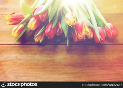 flora, gardening and plant concept - close up of tulip flowers on wooden table