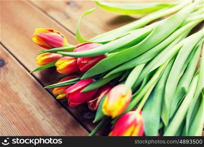 flora, gardening and plant concept - close up of tulip flowers on wooden table