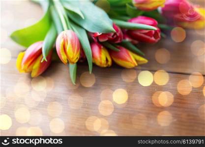 flora, gardening and plant concept - close up of tulip flowers on wooden table over lights