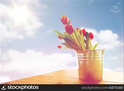 flora, spring, gardening and plant concept - close up of tulip flowers in tin bucket on wooden table over blue sky, sun and clouds background