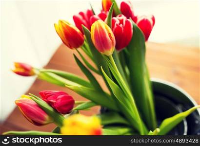 flora, spring, gardening and plant concept - close up of tulip flowers in tin bucket on wooden table at home