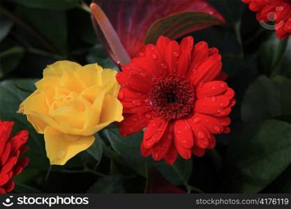 Floral arrangement of a big red gerbera and a yellow rose