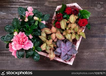 Floral arrangements for Valentine&rsquo;s day decoration in heart shape on wooden background. Top view.. Floral arrangement for Valentine&rsquo;s day decoration in heart shape.