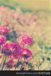 Floral background with a vintage effect