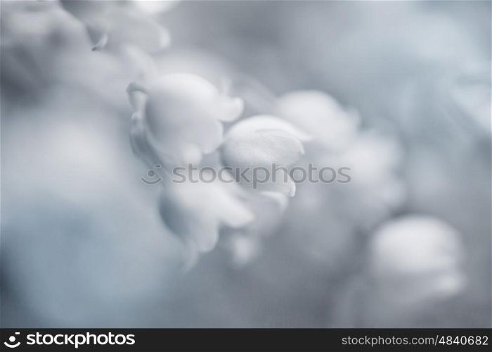 Floral background with flowers lilies of the valley
