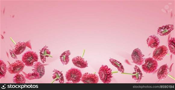 Floral background with flying falling pink flowers and petals at pale rose backdrop. Front view. Border with copy space. Banner