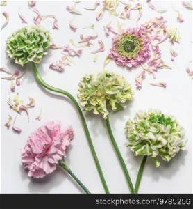 Floral background with pretty green and pink flowers and petals, top view