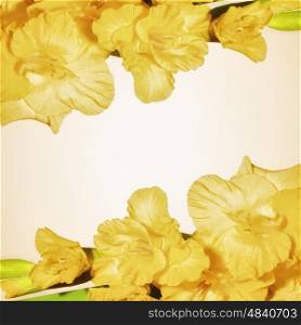 Floral background with yellow flowers gladiolus