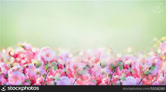 Floral banner with pink pale blossom at green nature background in garden or park, outdoor