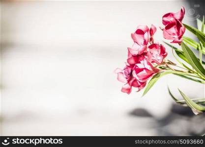 Floral border with red flowers. Oleander flowers at light wooden background