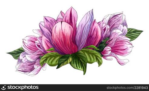 Floral bouquet with pink magnolia flowers and green leaves. Watercolor floral illustration. Magnolia flowers.