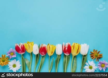 floral composition blue backdrop