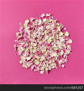 Floral composition from carnation petals on a magenta paper with copy space. Natural background.. Round pattern of flowers petals on a magenta background.