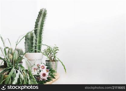 floral composition with space right cactus