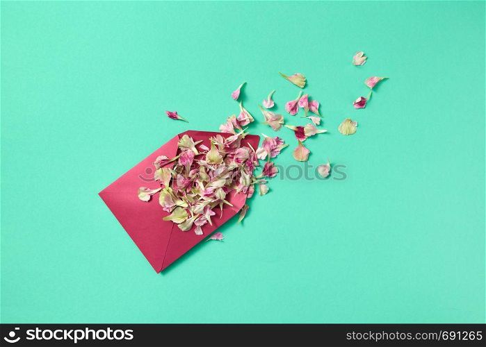 Floral congratulation card with purple envelope of flowers petals on a light turquoise background and place for text. Flat lay. Flowers petals in purple envelope on a light turquoise background.