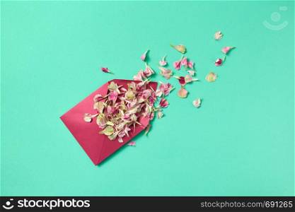 Floral congratulation card with purple envelope of flowers petals on a light turquoise background and place for text. Flat lay. Flowers petals in purple envelope on a light turquoise background.