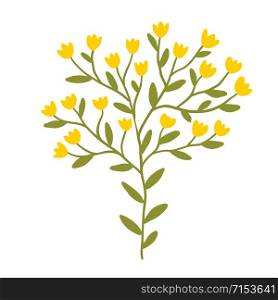 Floral design with little yellow flowers. Nature isolated printable design. Floral design with little yellow flowers. Nature isolated element for logo design