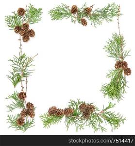 Floral frame. Christmas background. Thuja branches with cones on white
