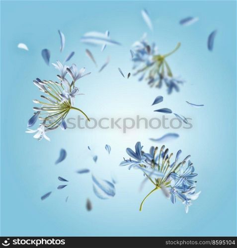 Floral frame with flying flowers and petals at blue background. Spring and summer levitation backdrop with blossom. Front view.