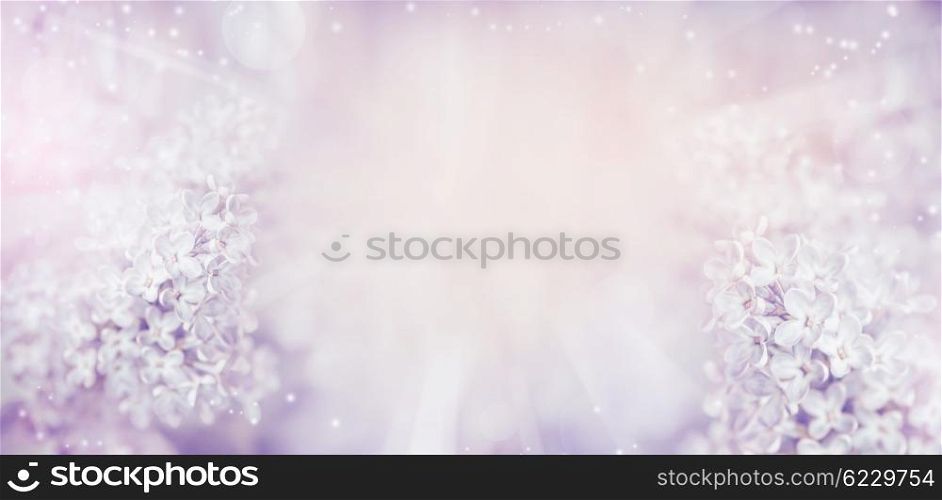 Floral nature background with beautiful light pastel lilac flowers. Lilac blooming in garden or park, banner