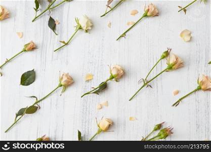 Floral pattern made of beige roses, green leaves on white background. Flat lay,. background from roses