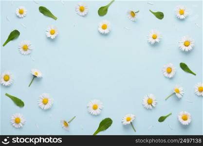 Floral pattern with small daisy flowers leaves and petals on blue trendy pastel background. Flower pattern flat lay top view frame composition with copy space.