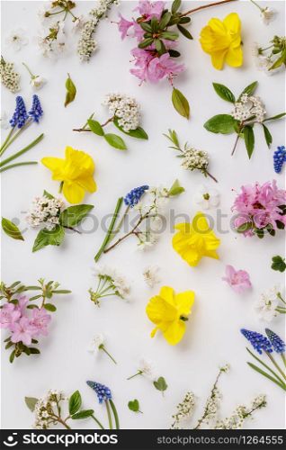 Floral pattern with spring flowers and leaves on white background. Flat lay composition for entrepreneurs, bloggers, magazines, websites, social media and instagram.. Floral pattern with spring flowers and leaves on white background