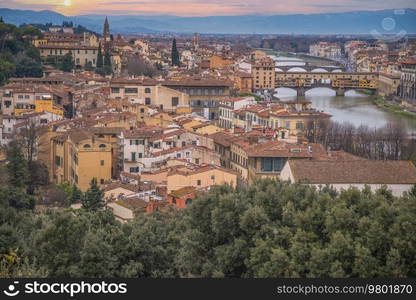 Florence city view from above. Italy