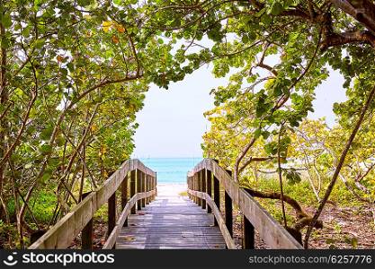 Florida bonita Bay Barefoot beach walk way in USA