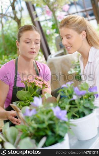 Florist and customer looking at pot plants